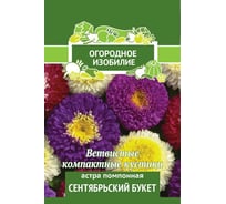Астра помпонная Агрохолдинг ПОИСК Сентябрьский букет 0,3гр ОИ 706213