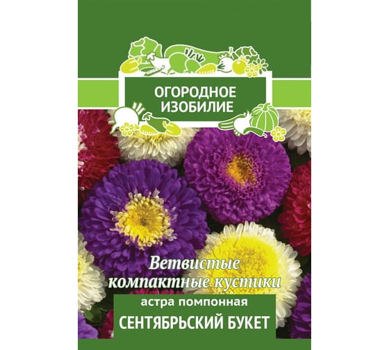 Астра помпонная Агрохолдинг ПОИСК Сентябрьский букет 0,3гр ОИ 706213 1