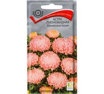 Астра Агрохолдинг ПОИСК пионовидная Абрикосовая башня 0,3гр 750143