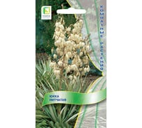 Юкка нитчатая Агрохолдинг ПОИСК 3шт 600159