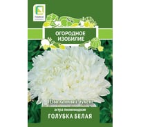 Астра Агрохолдинг ПОИСК пионовидная Голубка белая 0,3гр ОИ 816948