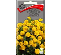 Бархатцы отклоненные Агрохолдинг ПОИСК махровые Петит золотые 0,4гр 670432