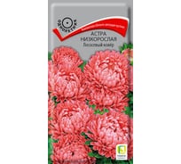 Астра низкорослая Агрохолдинг ПОИСК Лососевый ковер 0,2гр 150124