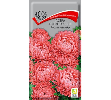 Астра низкорослая Агрохолдинг ПОИСК Лососевый ковер 0,2гр 150124