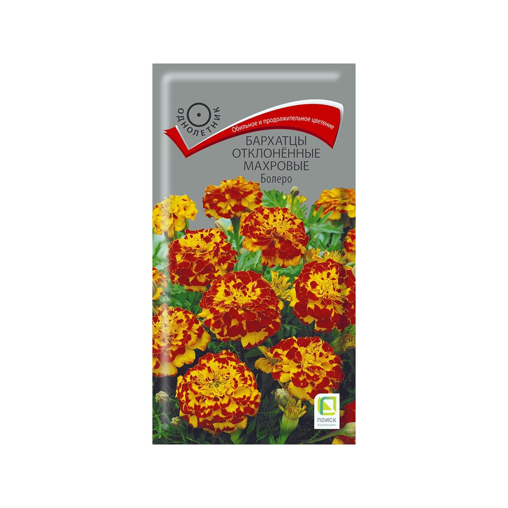 Sorbet Salons in Johannesburg