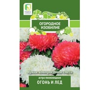 Астра Агрохолдинг ПОИСК пионовидная Огонь и лед 0,3гр ОИ 816950 34119145