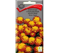 Бархатцы отклоненные Агрохолдинг ПОИСК махровые Петит Спрай 0,4гр 672984