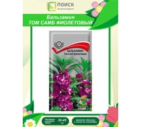 Бальзамин Том Самб Агрохолдинг ПОИСК фиолетовый 0,1гр 150961