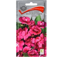 Бальзамин махровый Агрохолдинг ПОИСК Афина Паллада 5шт 738461