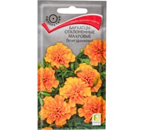 Бархатцы отклоненные Агрохолдинг ПОИСК махровые Петит оранжевые 0,4гр 160409