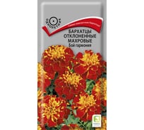 Бархатцы отклоненные Агрохолдинг ПОИСК махровые Бой гармония 0,4гр 719103