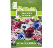 Василек Агрохолдинг ПОИСК Летние каникулы 1гр ОИ 706217