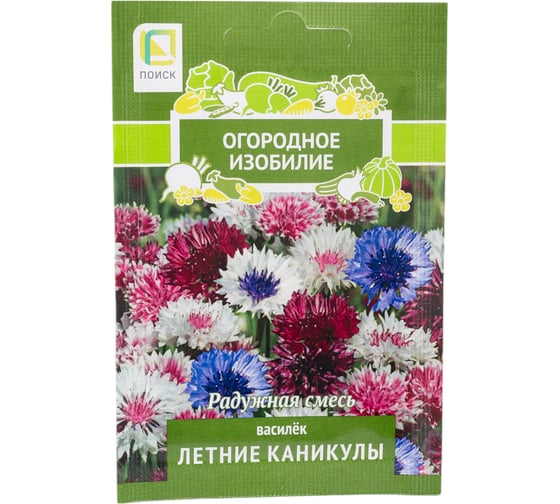Василек Агрохолдинг ПОИСК Летние каникулы 1гр ОИ 706217