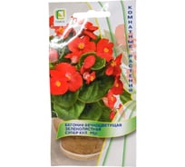 Бегония вечноцветущая Агрохолдинг ПОИСК зеленолистная Супер Кул Ред 10шт 832936