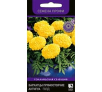 Бархатцы прямостоячие Агрохолдинг ПОИСК Антигуа Голд 15шт 713835