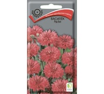 Василек Агрохолдинг ПОИСК Ред бол 1гр 170815