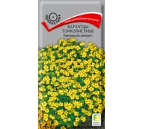 Бархатцы тонколистные Агрохолдинг ПОИСК Лимонный самоцвет 0,1гр 160561