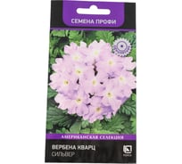 Вербена Кварц Агрохолдинг ПОИСК Сильвер 10шт 832225