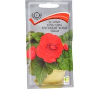 Бегония клубневая крупноцветковая Агрохолдинг ПОИСК Красная 5шт 738458