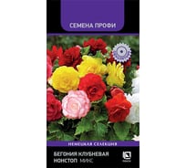 Бегония клубневая Агрохолдинг ПОИСК Нонстоп Микс 10шт 832221