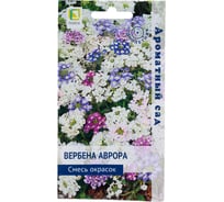 Вербена Аврора Агрохолдинг ПОИСК Смесь окрасок 10шт 839230