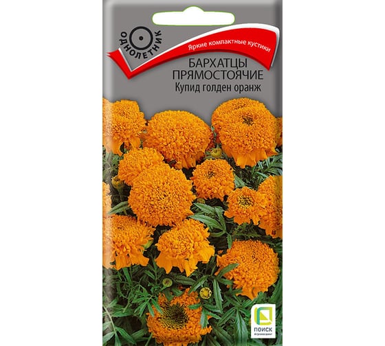 Бархатцы прямостоячие Агрохолдинг ПОИСК Купид голден оранж 0,2гр 160513 1