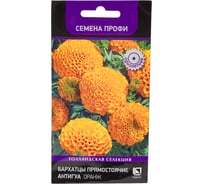 Бархатцы прямостоячие Агрохолдинг ПОИСК Антигуа Оранж 15шт 700956