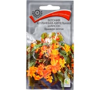 Бегония клубневая ампельная Агрохолдинг ПОИСК Шансон Оранжево-желтая 10шт 160797