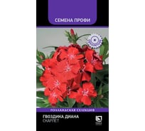Гвоздика Диана Агрохолдинг ПОИСК Скарлет 10шт 825442