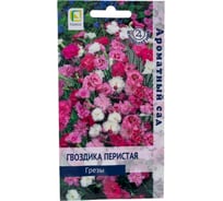 Гвоздика перистая Агрохолдинг ПОИСК Грезы 0,1гр 712467