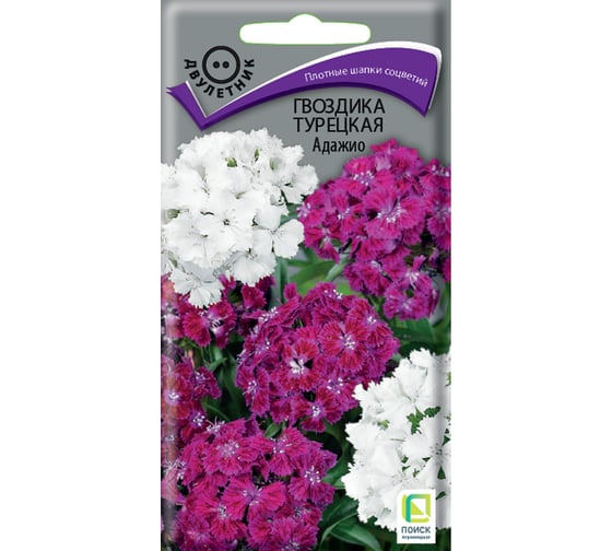 Гвоздика Турецкая Агрохолдинг ПОИСК Адажио 0,3гр 713203 1