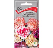 Гвоздика садовая Агрохолдинг ПОИСК Шабо Пикоти Фэнтези микс 0,3гр 190726