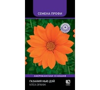 Газания Нью Дэй Агрохолдинг ПОИСК Клеа Оранж 10шт 832243