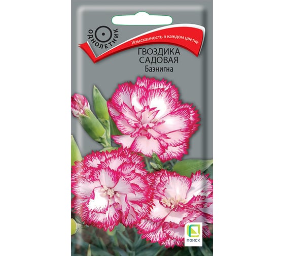 Гвоздика садовая Агрохолдинг ПОИСК Баэнигна 0,1гр 190710 1