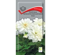Георгина низкорослая Агрохолдинг ПОИСК Барокко Белая 0.1 гр 797245