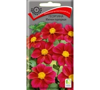 Георгина Агрохолдинг ПОИСК Мигнон пурпурная 0.2 гр 200608