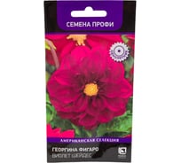 Георгина Фигаро Агрохолдинг ПОИСК Виолет Шейдес 10 шт 810326