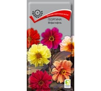 Георгина Агрохолдинг ПОИСК Мефистофель 0.2 гр 200595