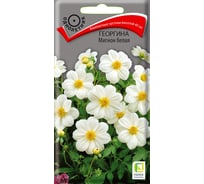 Георгина Агрохолдинг ПОИСК Мигнон белая 0.2 гр 200598