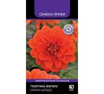 Георгина Фигаро Агрохолдинг ПОИСК Оранж Шейдес 10 шт 832256