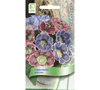 Глоксиния Агрохолдинг ПОИСК Жаклин 5 шт 808274