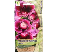 Глоксиния Импресс Агрохолдинг ПОИСК Парпл 5 шт 734744