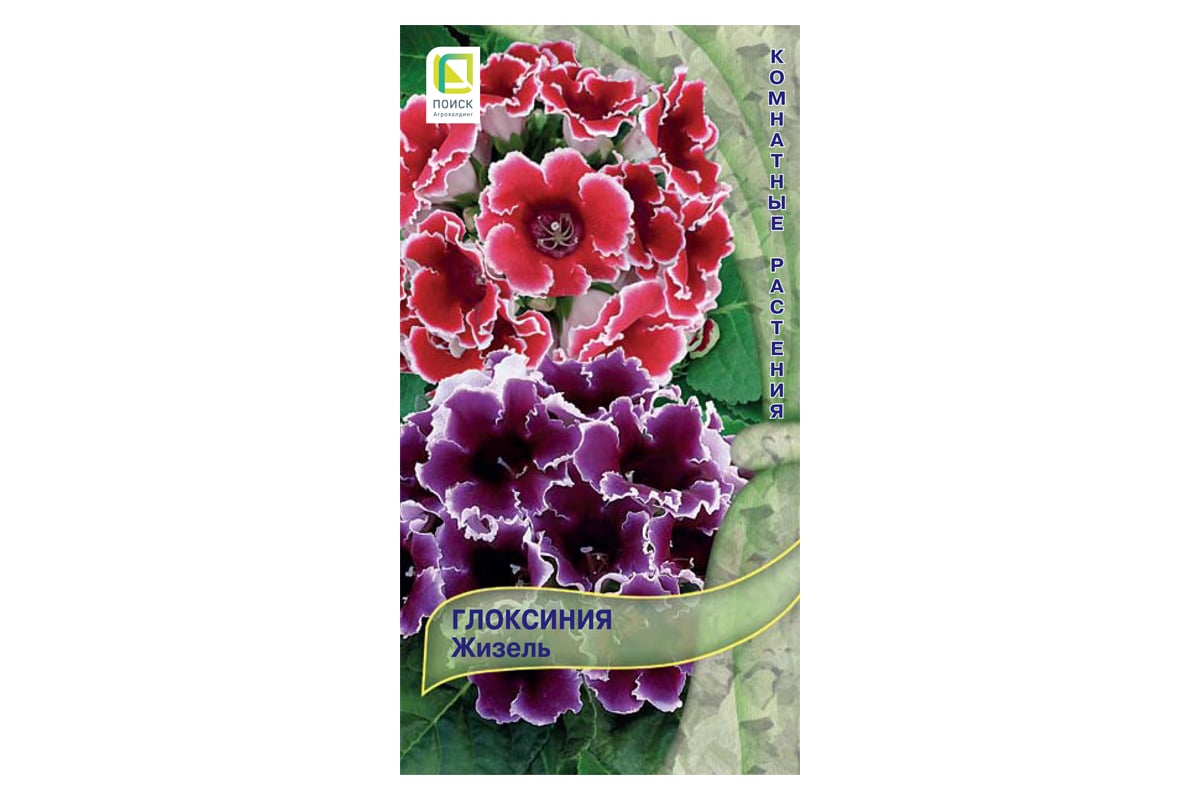 Глоксиния Агрохолдинг ПОИСК Жизель 5 шт 797267 - выгодная цена, отзывы ...