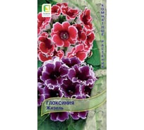 Глоксиния Агрохолдинг ПОИСК Жизель 5 шт 797267