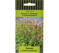 Душица обыкновенная Агрохолдинг ПОИСК Надежда (А) 20 шт 668556