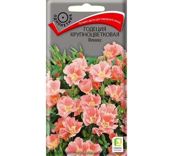 Годеция крупноцветковая Агрохолдинг ПОИСК Феникс 0.2 гр 220786 1