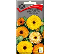 Календула низкорослая Агрохолдинг ПОИСК Фиеста смесь 1 гр 270737