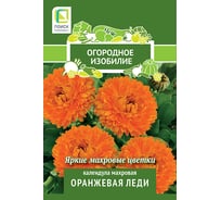 Календула махровая Агрохолдинг ПОИСК Оранжевая леди 1 гр ОИ 816960 34119985