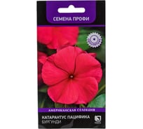 Катарантус Агрохолдинг ПОИСК Пацифика Бургунди 10 шт 827277