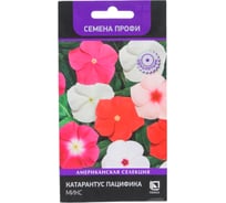 Катарантус Агрохолдинг ПОИСК Пацифика Микс 10 шт 832261